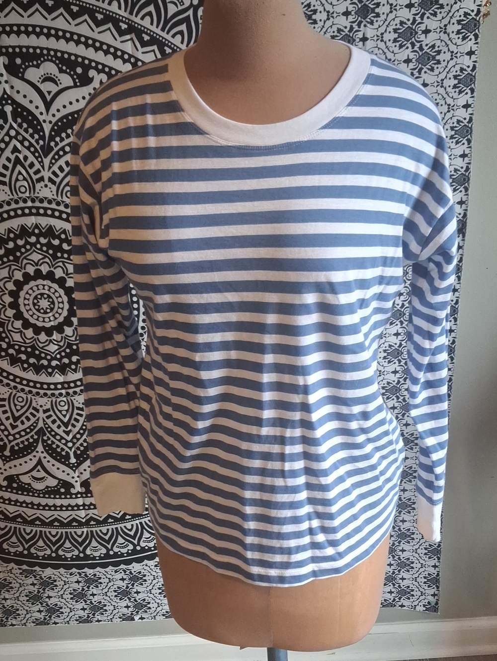 J. Crew Blue and White Striped Long-Sleeve Tee